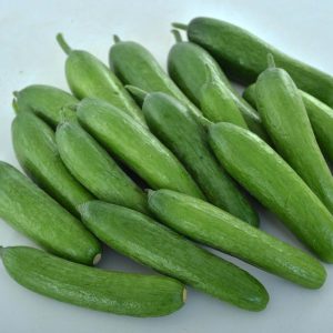CUCUMBER `GREEN LIGHT`